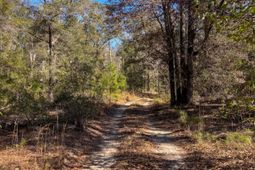 903 Harts Bluff Road photo 4