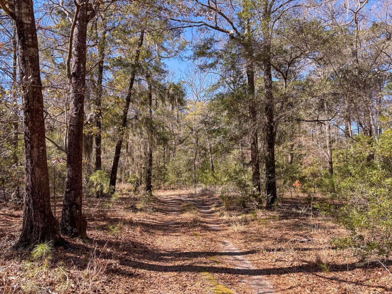 903 Harts Bluff Road Photo 5