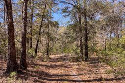 903 Harts Bluff Road photo 4