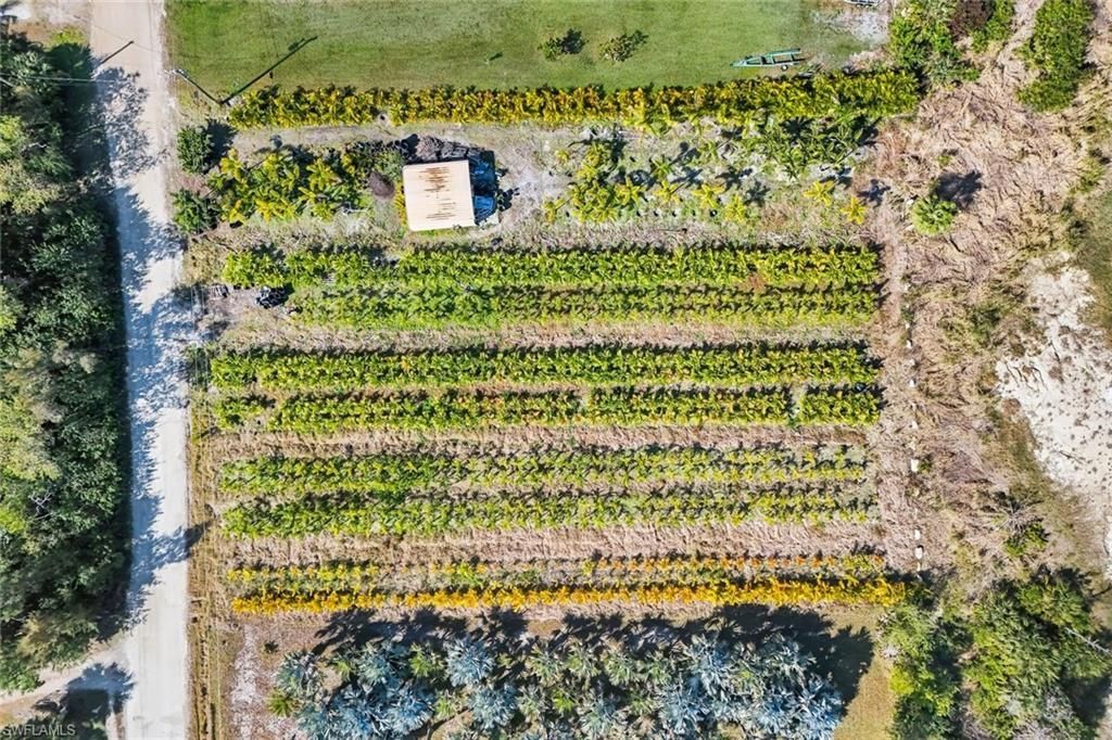 4442 Courtney Rd, Saint James City, FL 33956 Photo