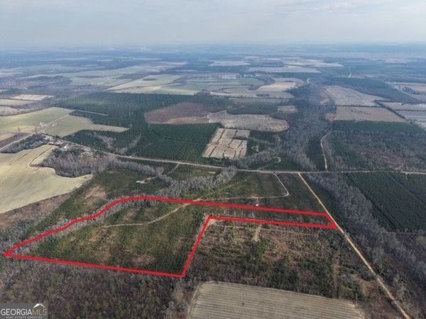 1 Dodges Chapel Road, Lumber City, GA 31549