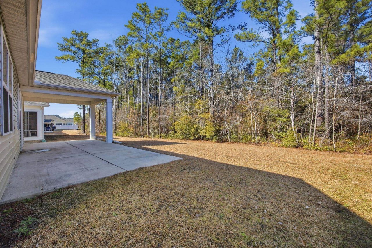 847 Flowering Branch Ave. Photo 39