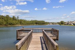 847 Flowering Branch Ave. photo 4