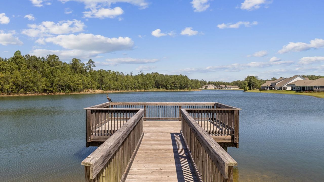 847 Flowering Branch Ave. Photo 45