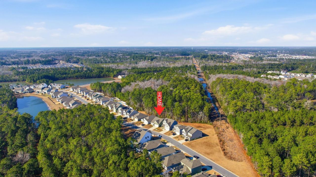 847 Flowering Branch Ave. Photo 53