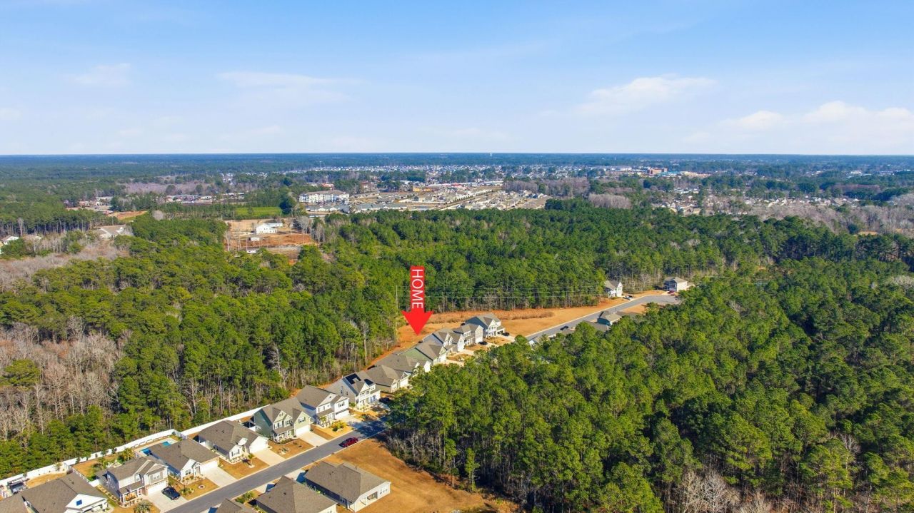 847 Flowering Branch Ave. Photo 55