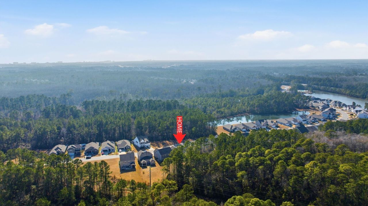 847 Flowering Branch Ave. Photo 56