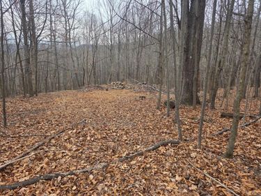 0 Hickory Falls Road, Blue Ridge, VA 24064