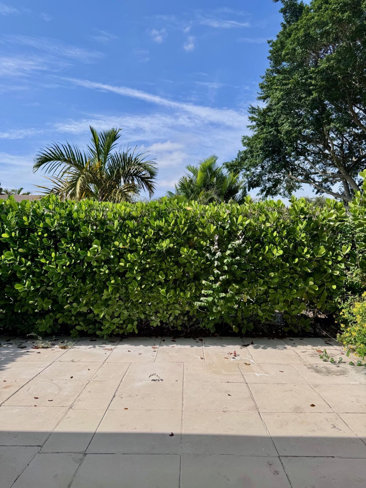 20834 Sedgewick Drive, Unit 327, Boca Raton, FL 33433 Photo