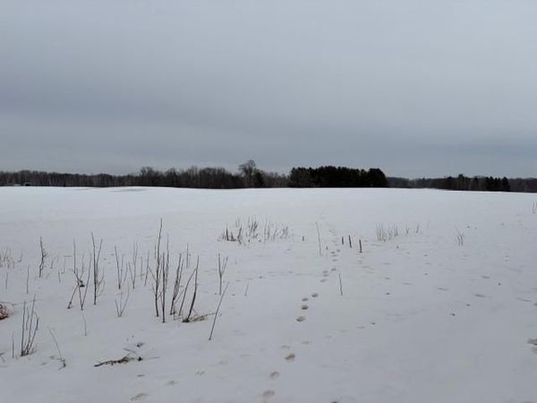 20XX Quail Street, Mora, MN 55051