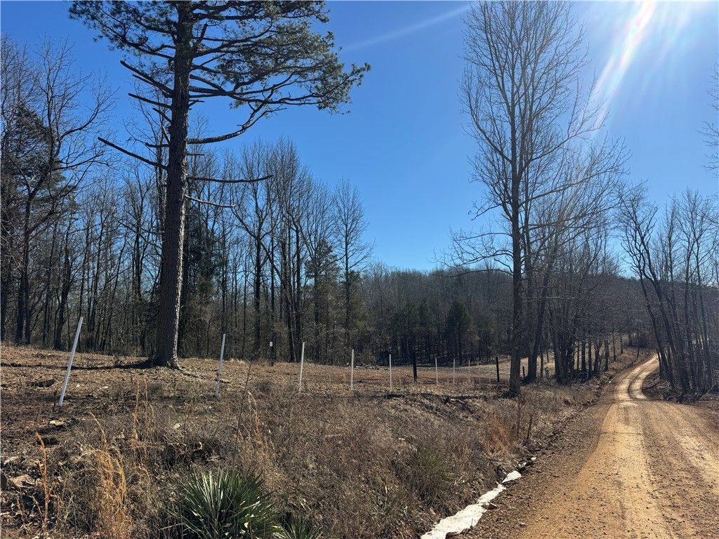 953 Nc 8920, Deer, AR 72628 Main Photo