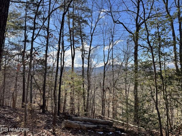 Deerfoot Rd, Cosby, TN 37722