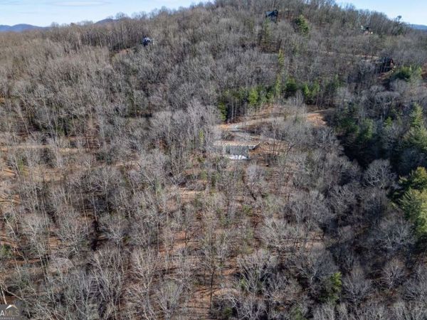 168 Buckskin Drive, Cherry Log, GA 30522