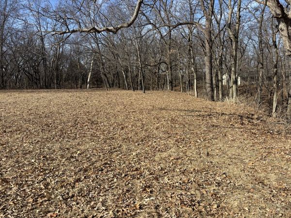 595 Cardinal Drive, Varna, IL 61375