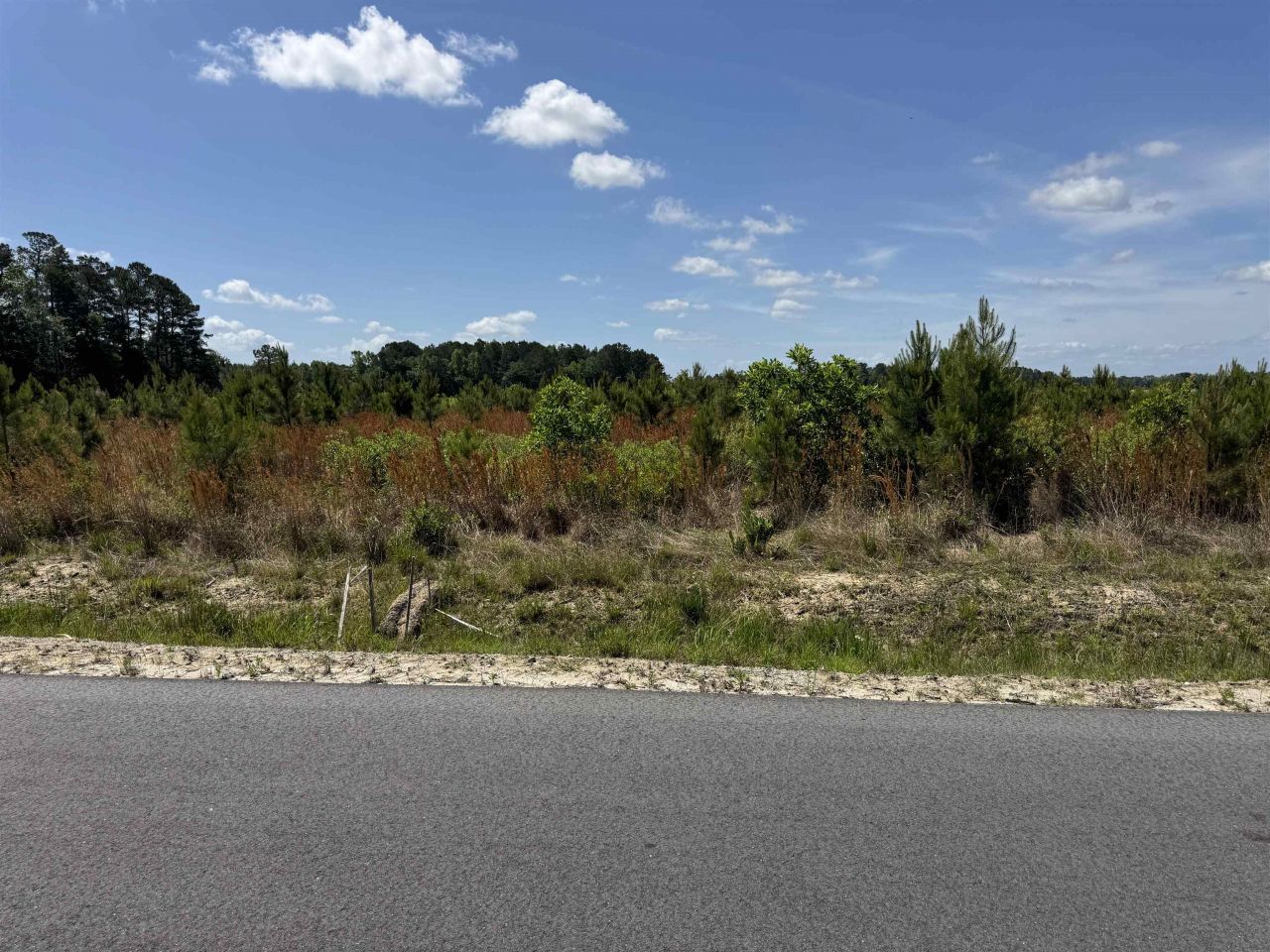 4782 Grainger Circle Photo 13