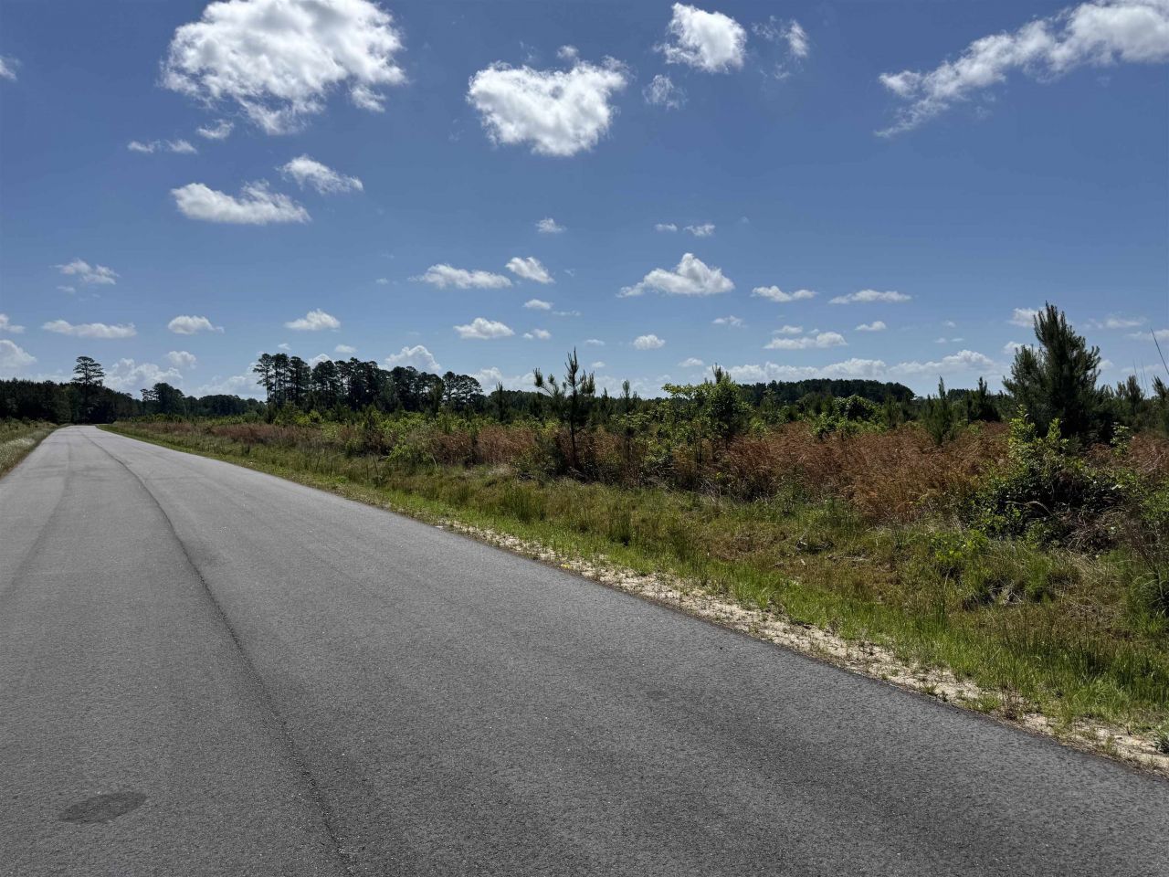 4782 Grainger Circle Photo 14