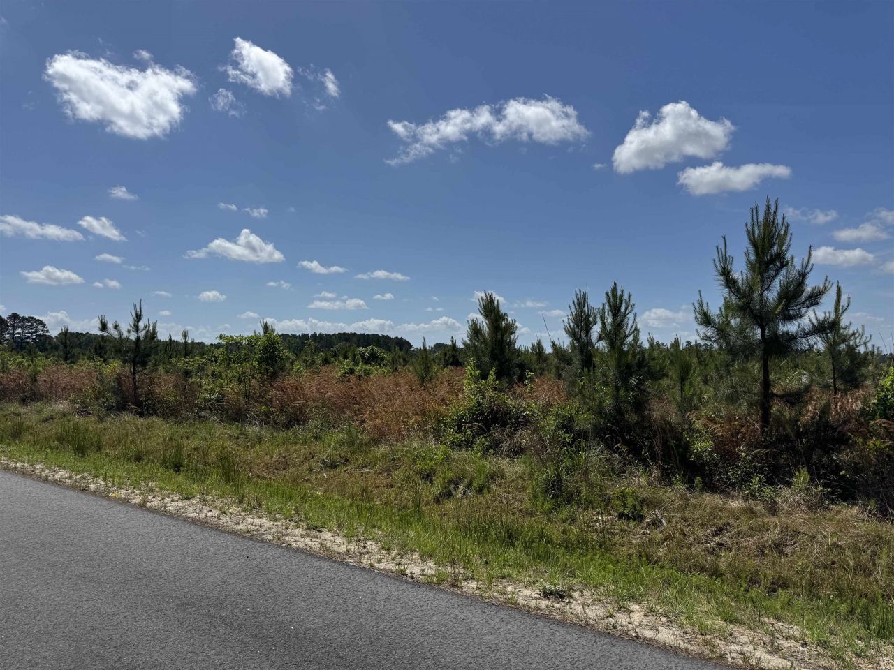 4782 Grainger Circle Photo 15