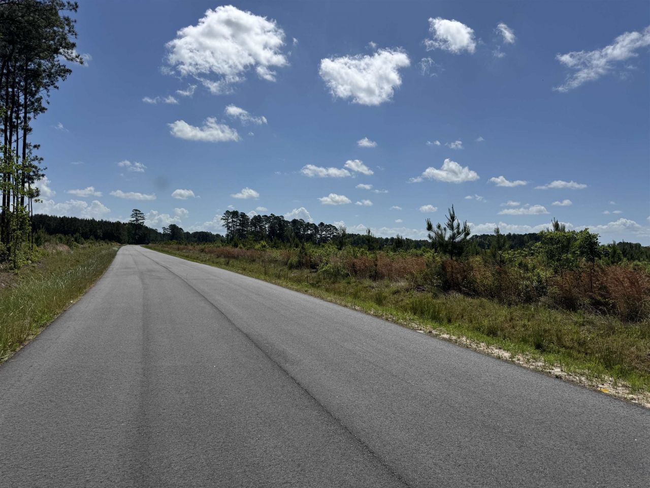 4782 Grainger Circle Photo 16