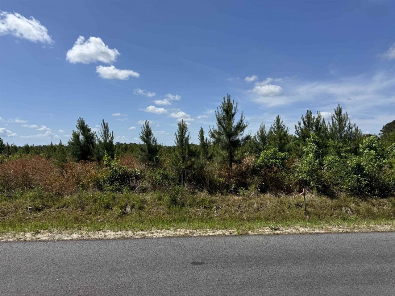 4782 Grainger Circle Photo 9