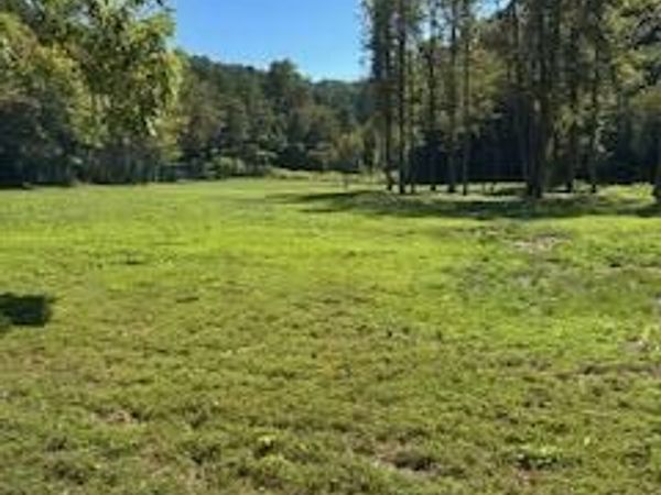 61.66 Acre Chestnut Valley Road , Vonore, TN 37885