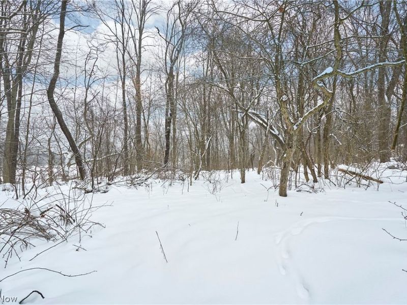 V/L Bainbridge Road, Solon, OH 44139 Photo 10