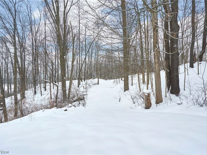 V/L Bainbridge Road, Solon, OH 44139 Photo 8