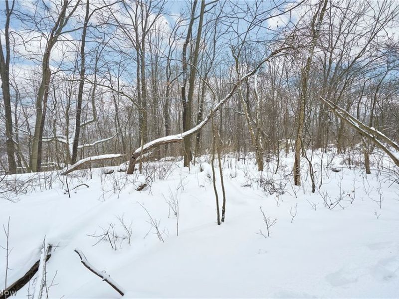 V/L Bainbridge Road, Solon, OH 44139 Photo 9