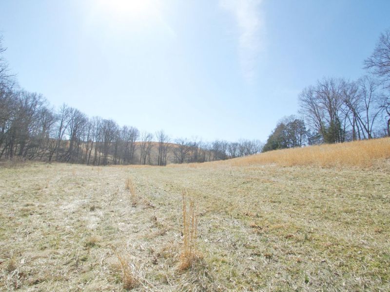 0 KY-159 N, Falmouth, KY 41040 Photo 13