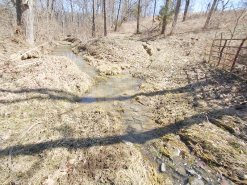 0 KY-159 N, Falmouth, KY 41040 Photo 18