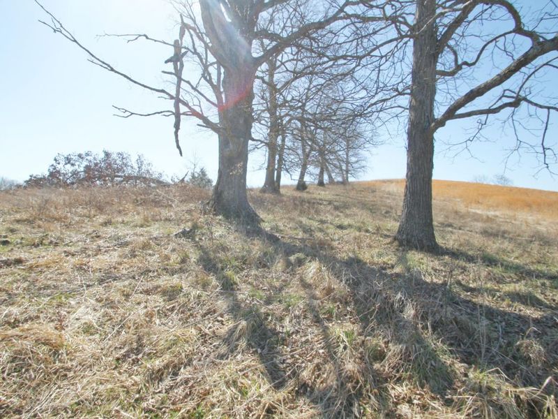 0 KY-159 N, Falmouth, KY 41040 Photo 19