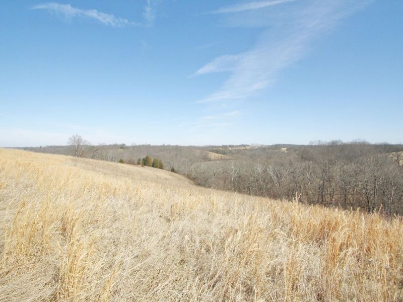 0 KY-159 N, Falmouth, KY 41040 Photo 23