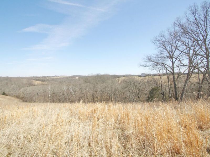 0 KY-159 N, Falmouth, KY 41040 Photo 24