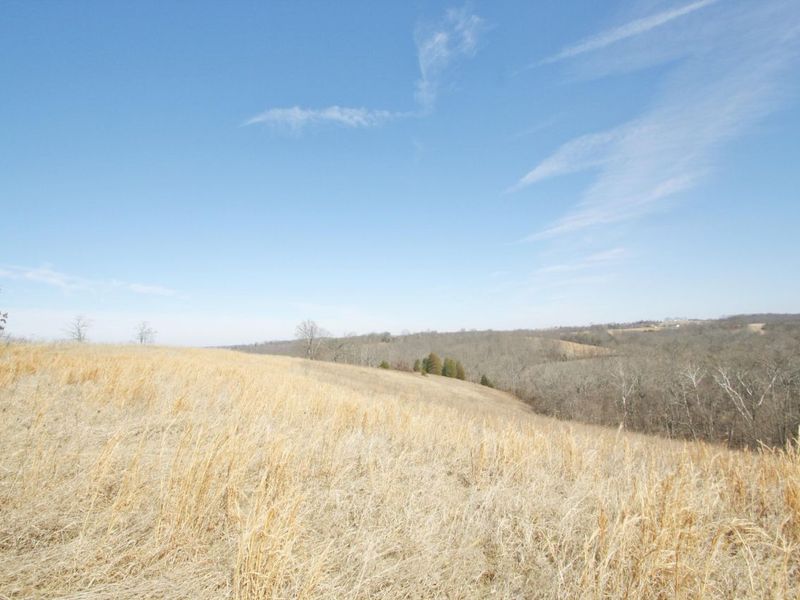 0 KY-159 N, Falmouth, KY 41040 Photo 25