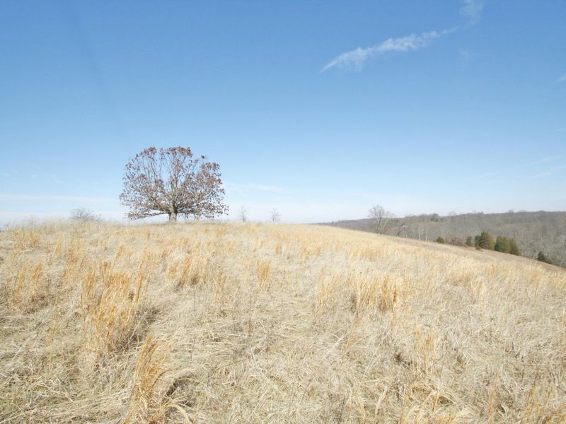 0 KY-159 N, Falmouth, KY 41040 Photo 26