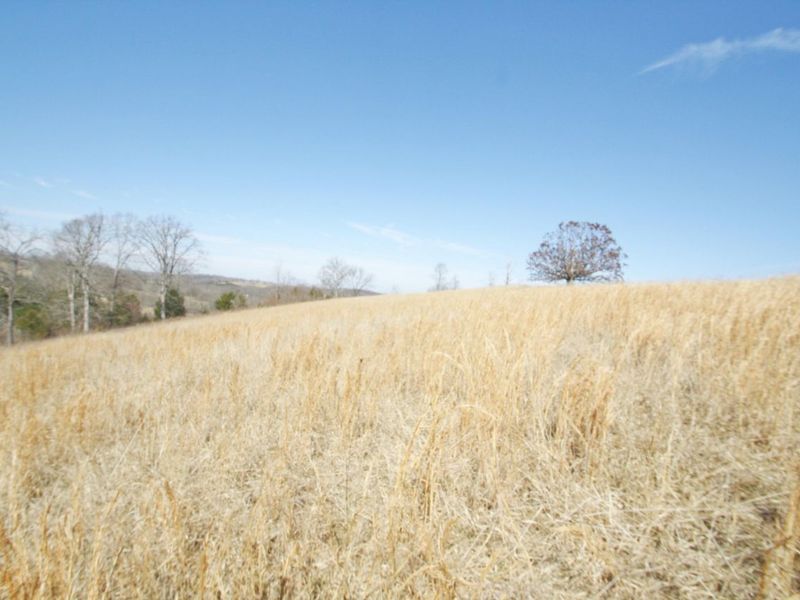 0 KY-159 N, Falmouth, KY 41040 Photo 28