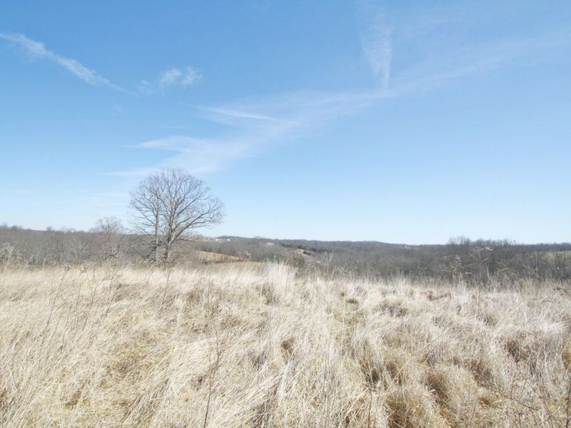 0 KY-159 N, Falmouth, KY 41040 Photo 31