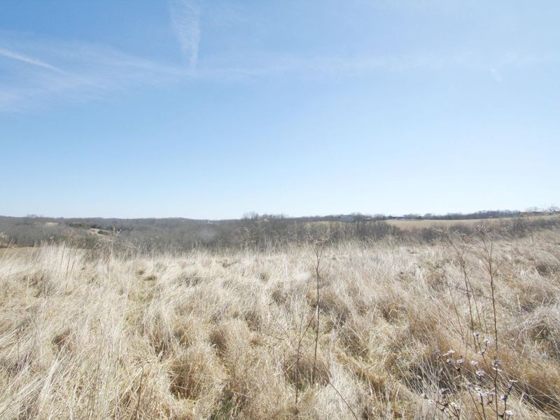 0 KY-159 N, Falmouth, KY 41040 Photo 32