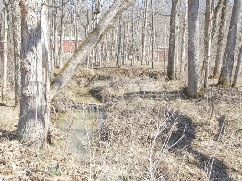 0 KY-159 N, Falmouth, KY 41040 Photo 37