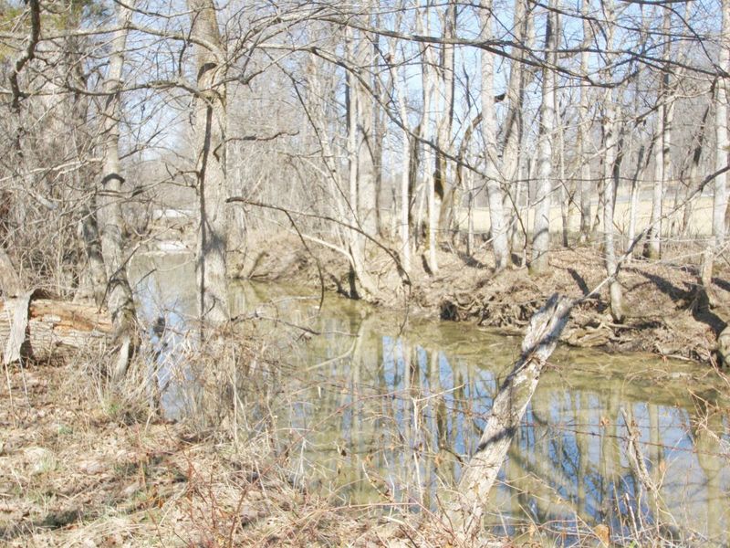 0 KY-159 N, Falmouth, KY 41040 Photo 39