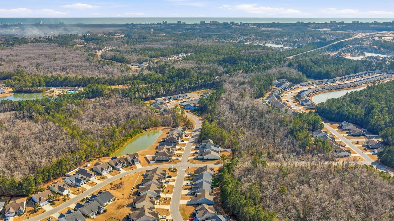 880 Cypress Way Photo 39