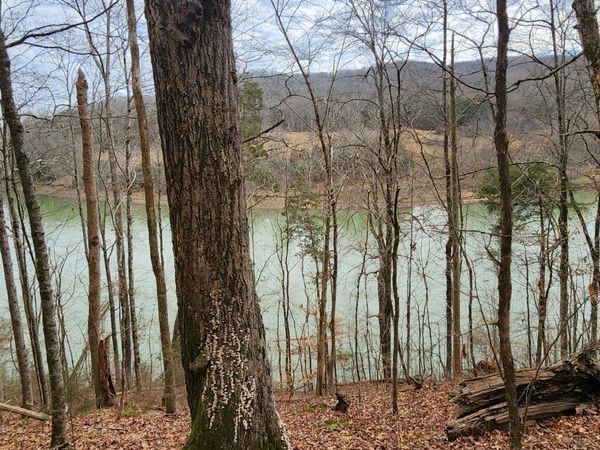 0 Simmons Cem Rd , Quebeck, TN 38579