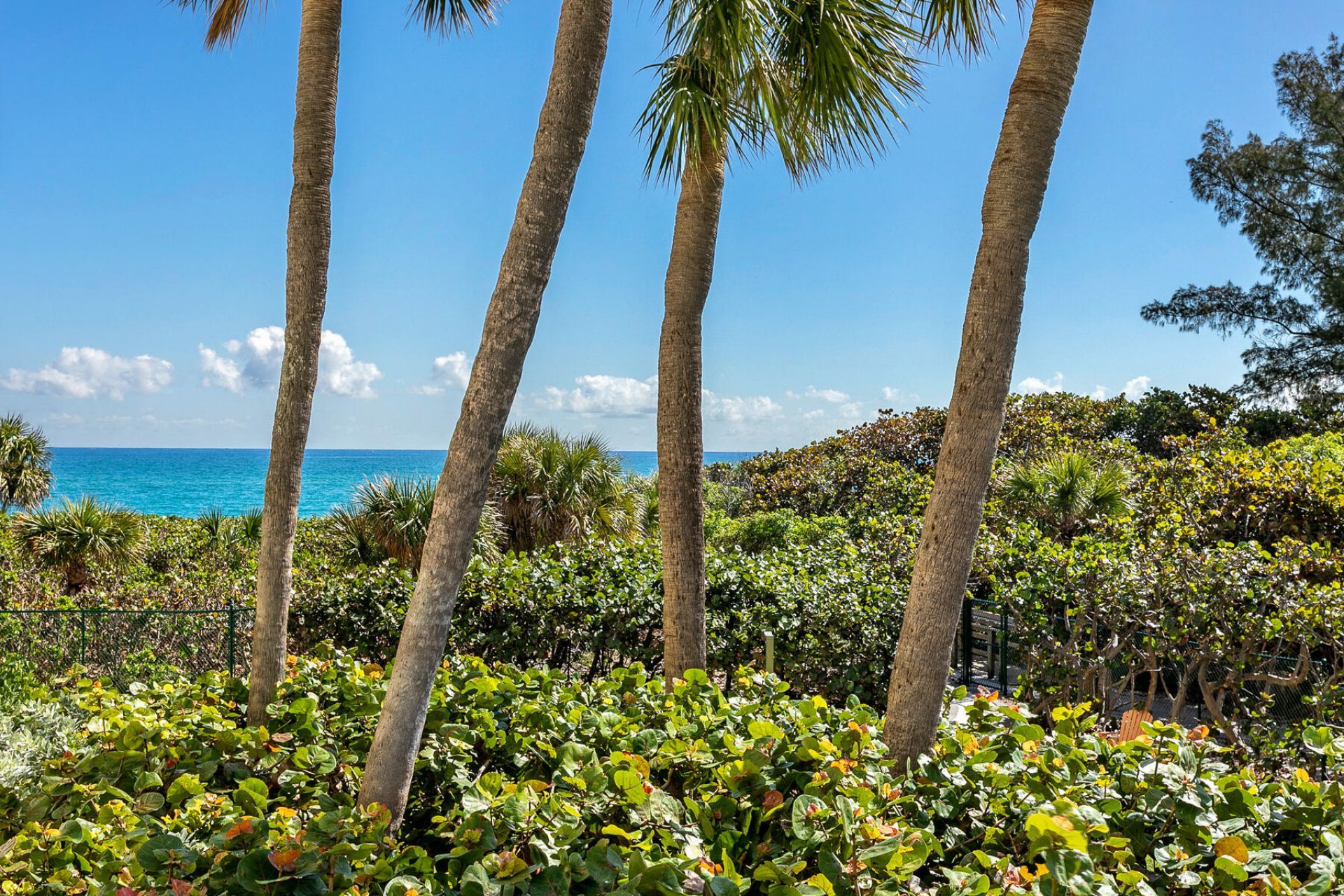 4000 N Ocean Drive, Unit 103, Singer Island, FL 33404 Photo