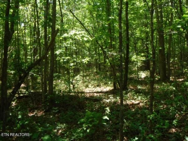 127 Rushing Springs Rd, Monterey, TN 38574
