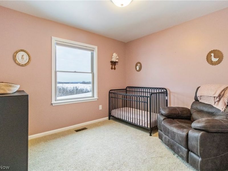 43996 Belmont Centerville Road, Belmont, OH 43718 Photo 29