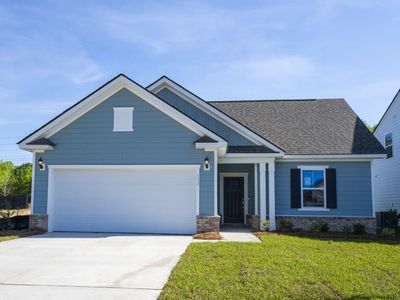 173 Monroe Preserve Lane, Chapin, SC 29036