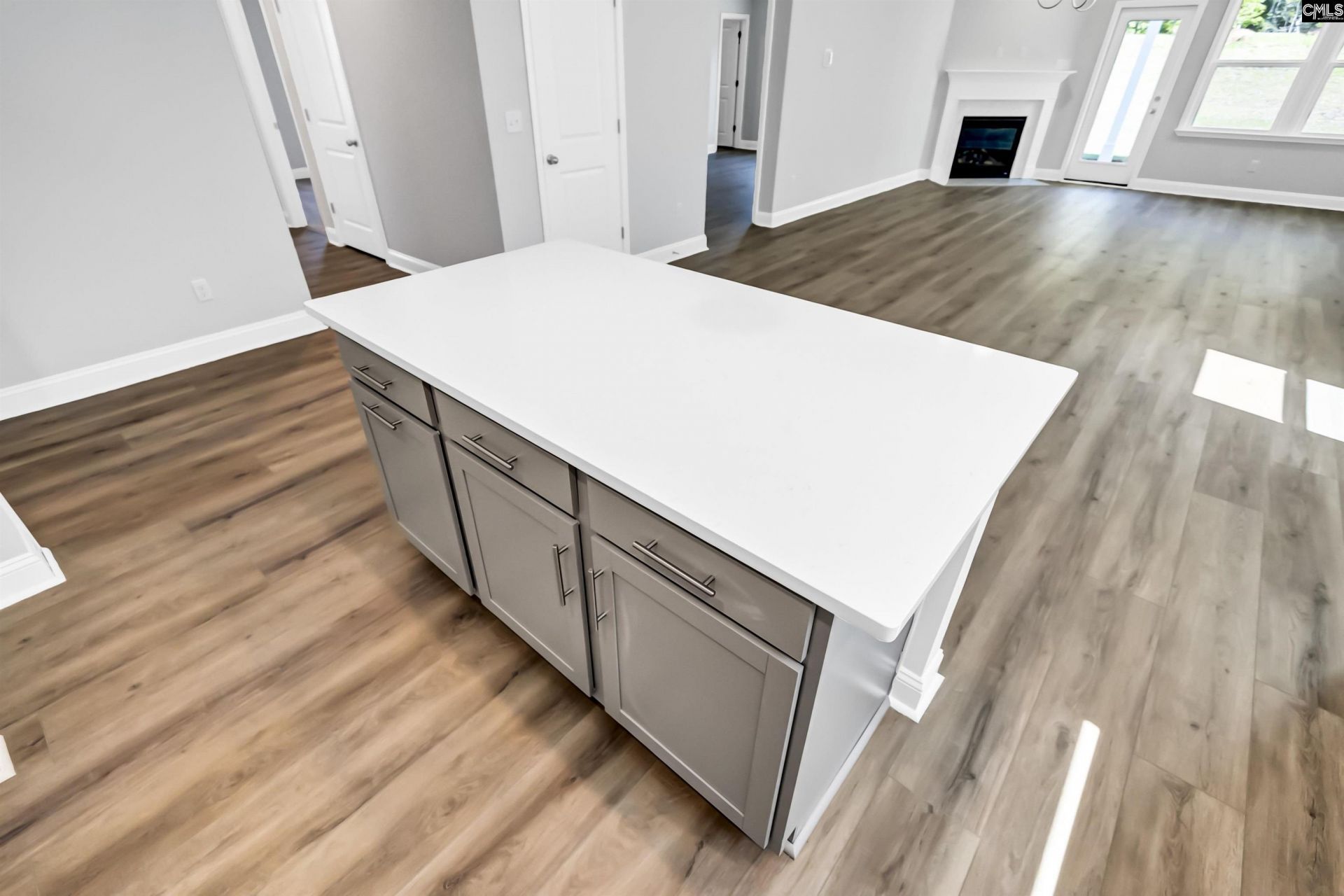 173 Monroe Preserve Lane Photo 10