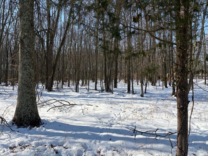 6149 Belfast Road, Goshen, OH 45122 Photo 2