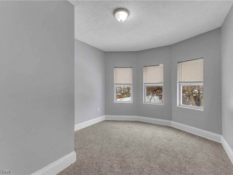 927 E 149th Street, Cleveland, OH 44110 Photo 13