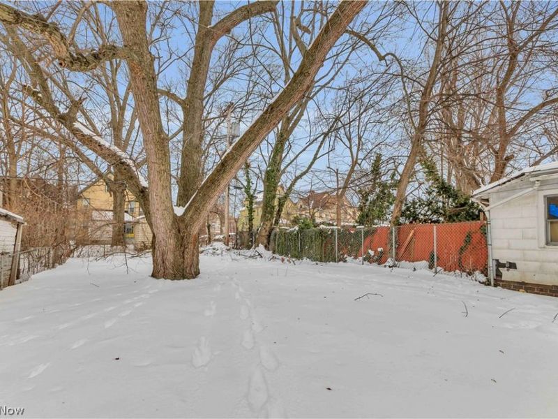 927 E 149th Street, Cleveland, OH 44110 Photo 29