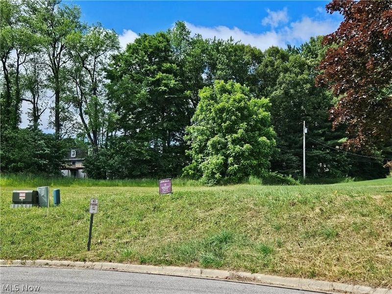 VL 1067 Homan Drive, Doylestown, OH 44230 Photo 2